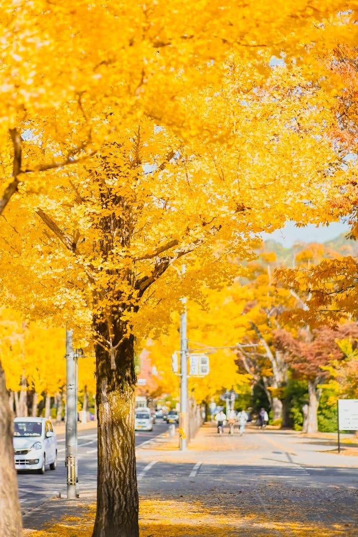 Viltrox 56mm F1.4Nikon Zマウント用