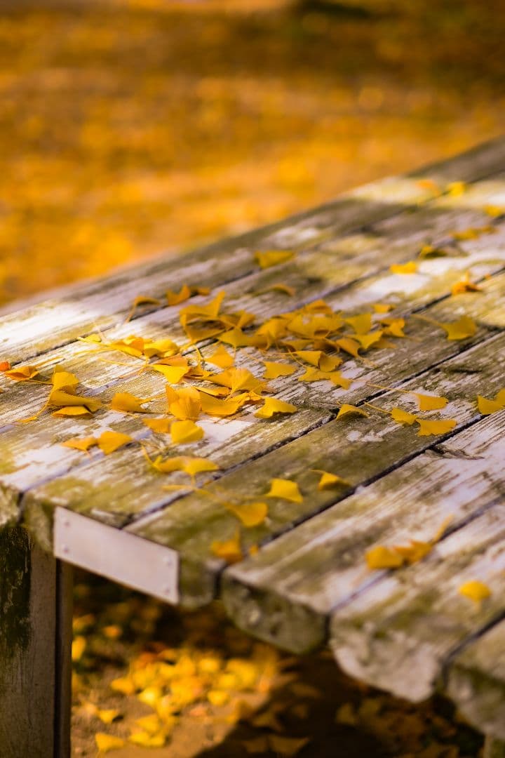 Viltrox 56mm F1.4Nikon Zマウント用