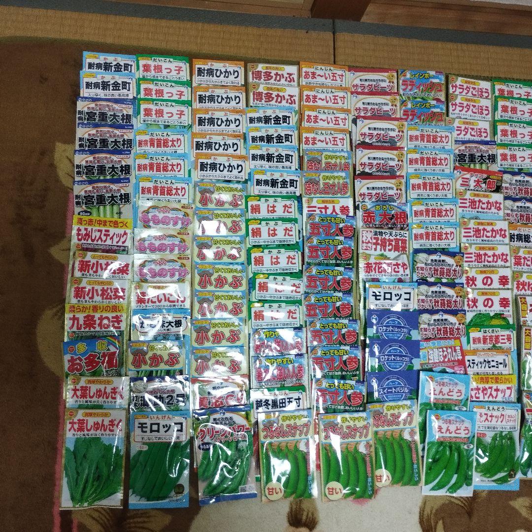 cleaning　500＋240袋弱