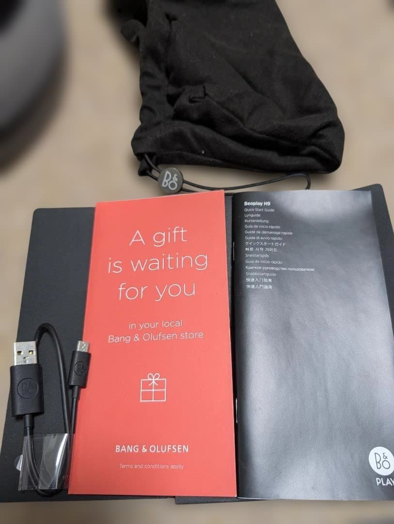 Bang & Olufsen Beoplay H9 予備バッテリー付き