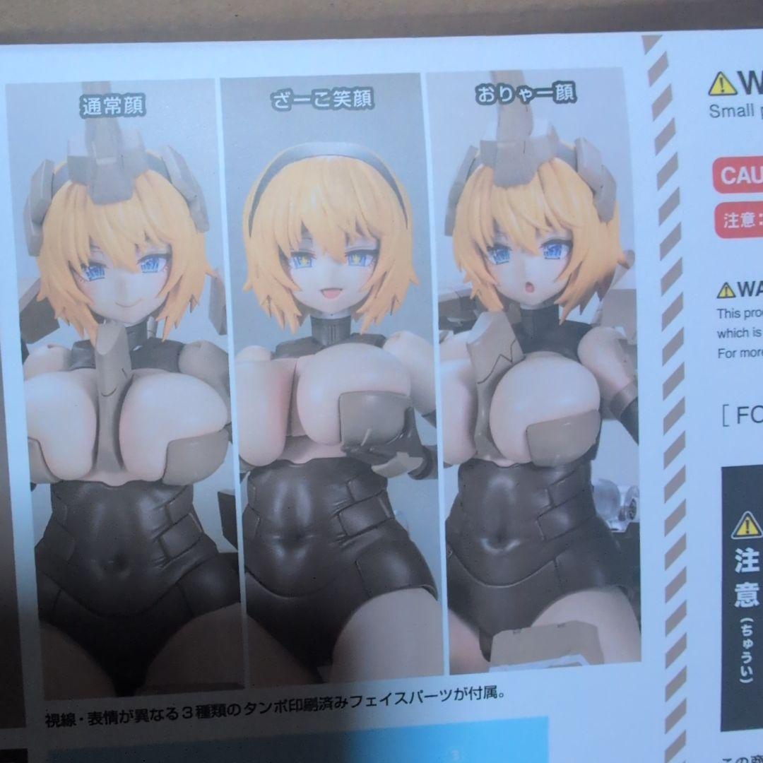 最安値）新品未開封　フレームアームズ・ガール 輝鎚・甲