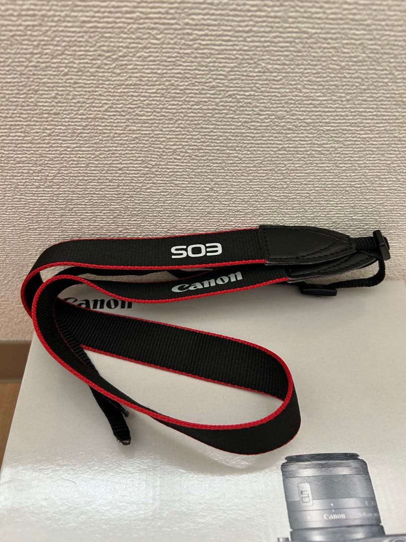 【値下げ不可】Canon EOS M100 ミラーレス一眼カメラ シルバー