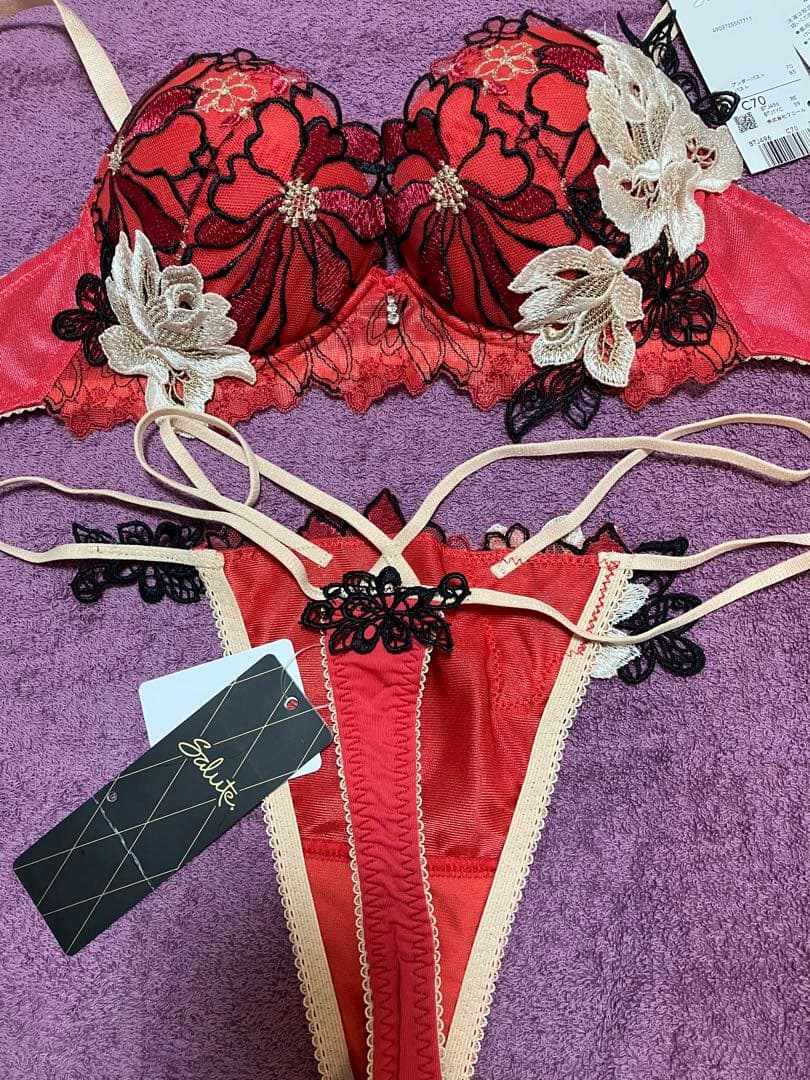 サルート C70 ブラ ソング ワコール 96