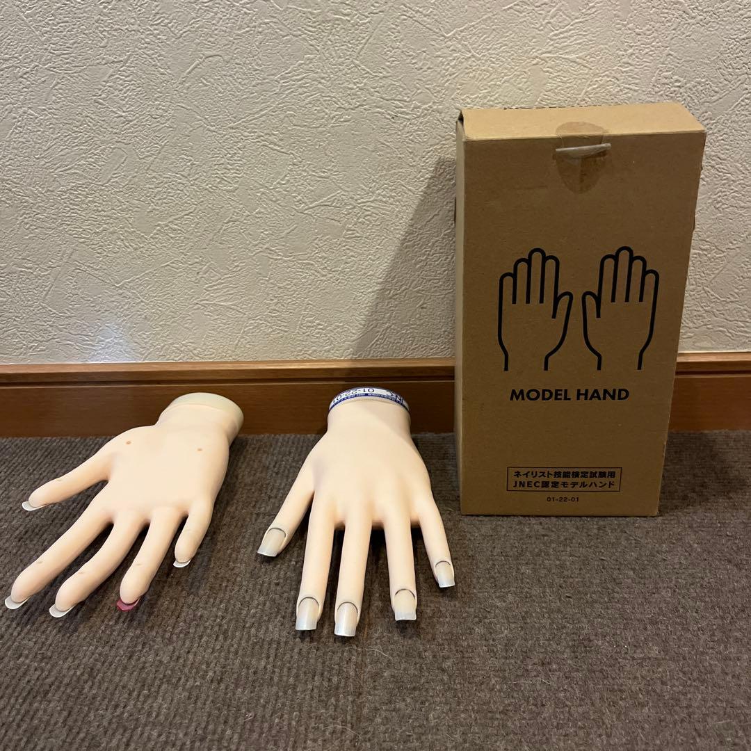JNEC ハンドモデル　骨折なし　美品