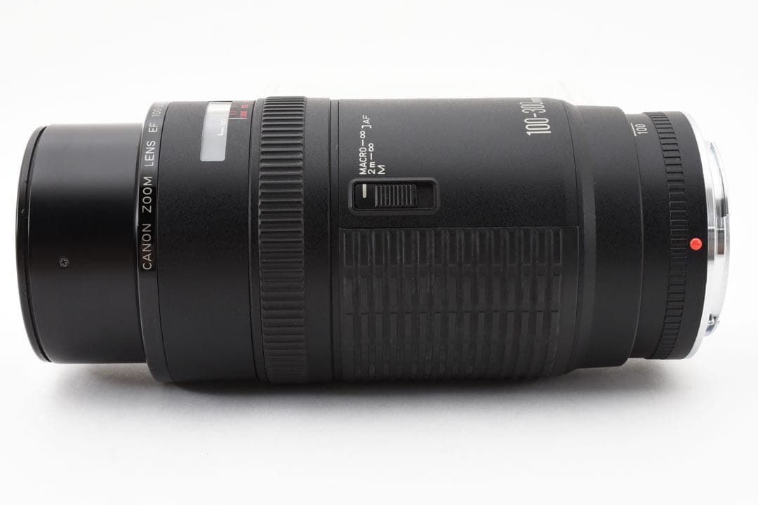 迫力300㎜☆CANON ZOOM LENS EF 100-300mm F5.6