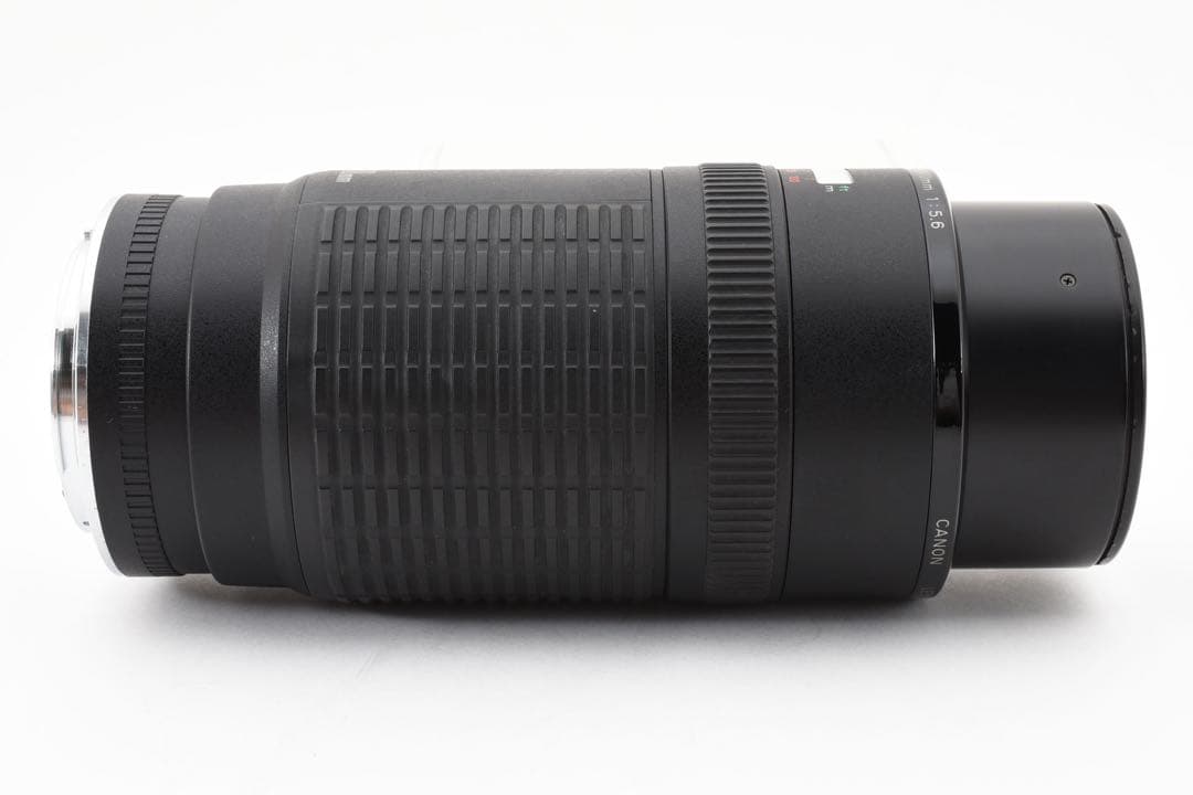 迫力300㎜☆CANON ZOOM LENS EF 100-300mm F5.6