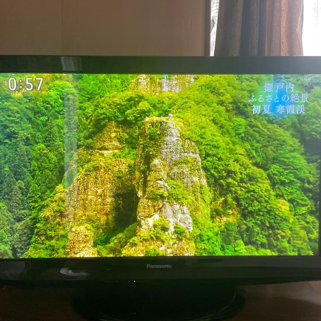 パナソニックPanasonic TH-P42S2 42インチプラズマテレビ
