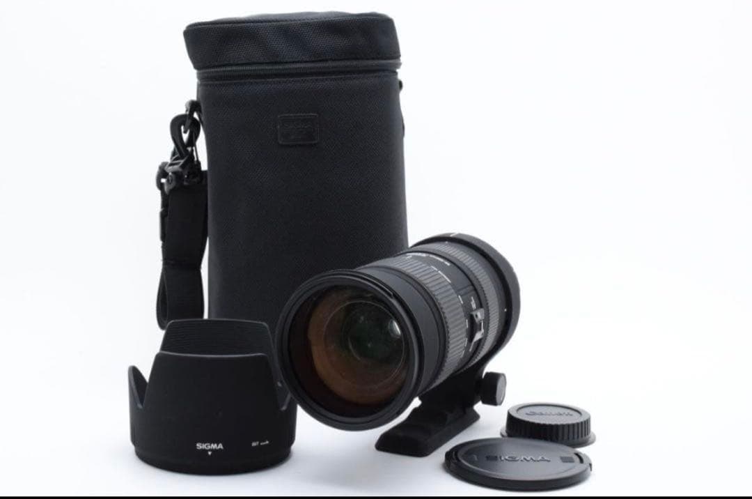 レンズ(ズーム) SIGMA 50-500mm F4-6.3 APO DG HSM Canon