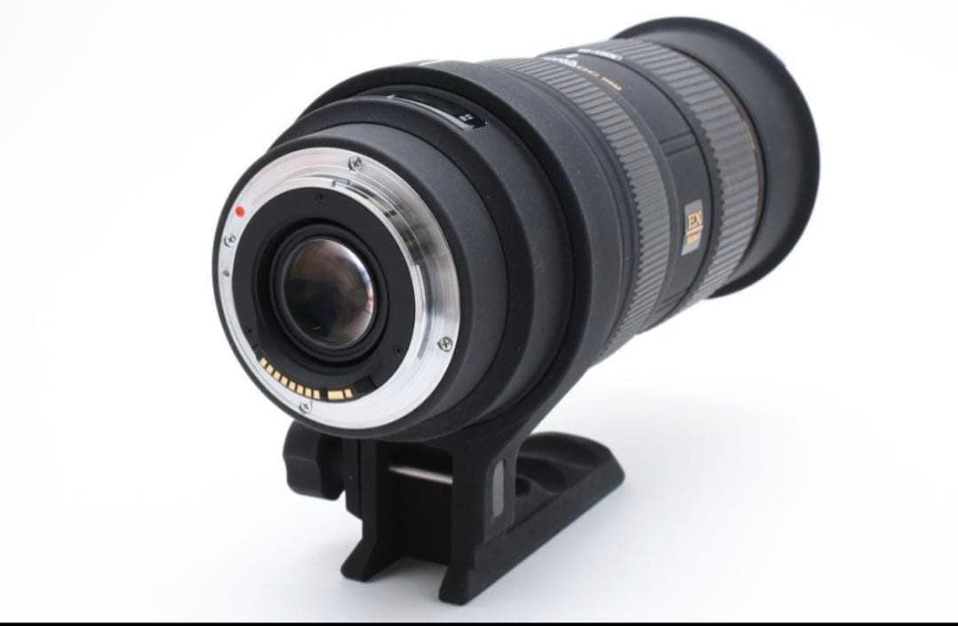 レンズ(ズーム) SIGMA 50-500mm F4-6.3 APO DG HSM Canon