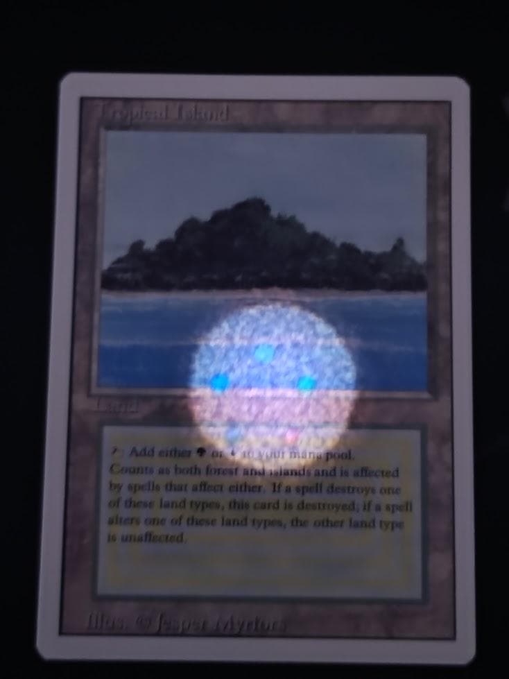 【安心鑑定対応】MTG Tropical  英語 リバイズド 3ED