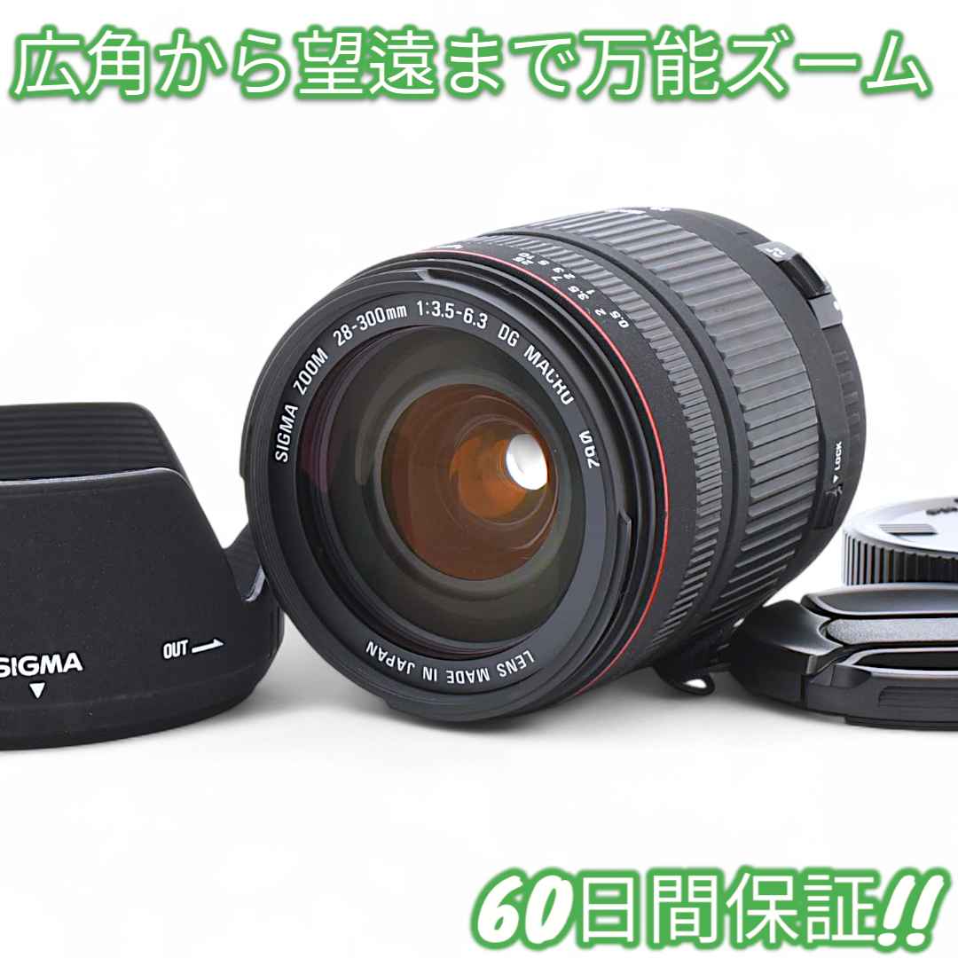 レンズ(ズーム) Sigma 28-300mm F3.5-6.3 DG Canon #8686