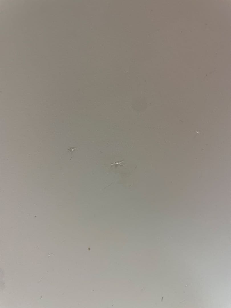 ム*社様 TOOU/トゥー　イタリア　高級　シモン・ビオラ　ロッキングチェア　モ