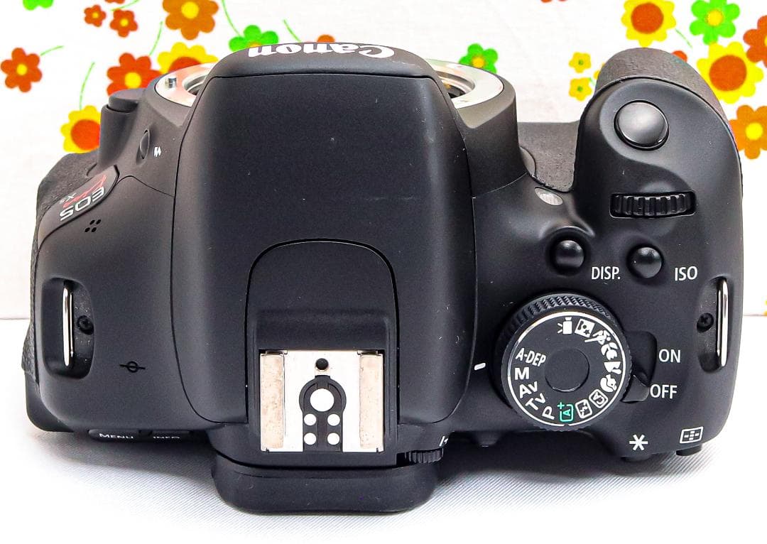 美品 Canon Kiss X5☆スマホ転送！☆自撮り可能☆人気の一眼レフ♪