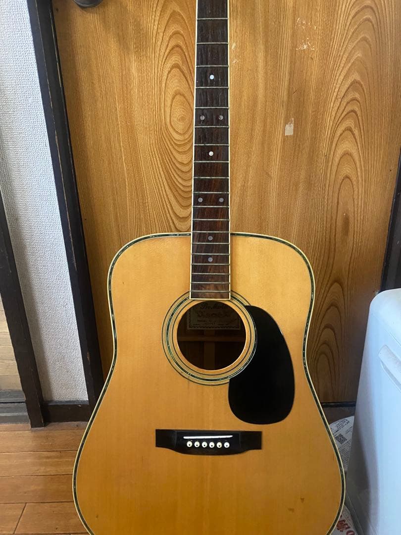 Martin Pro Martin w-200 アコースティックギター