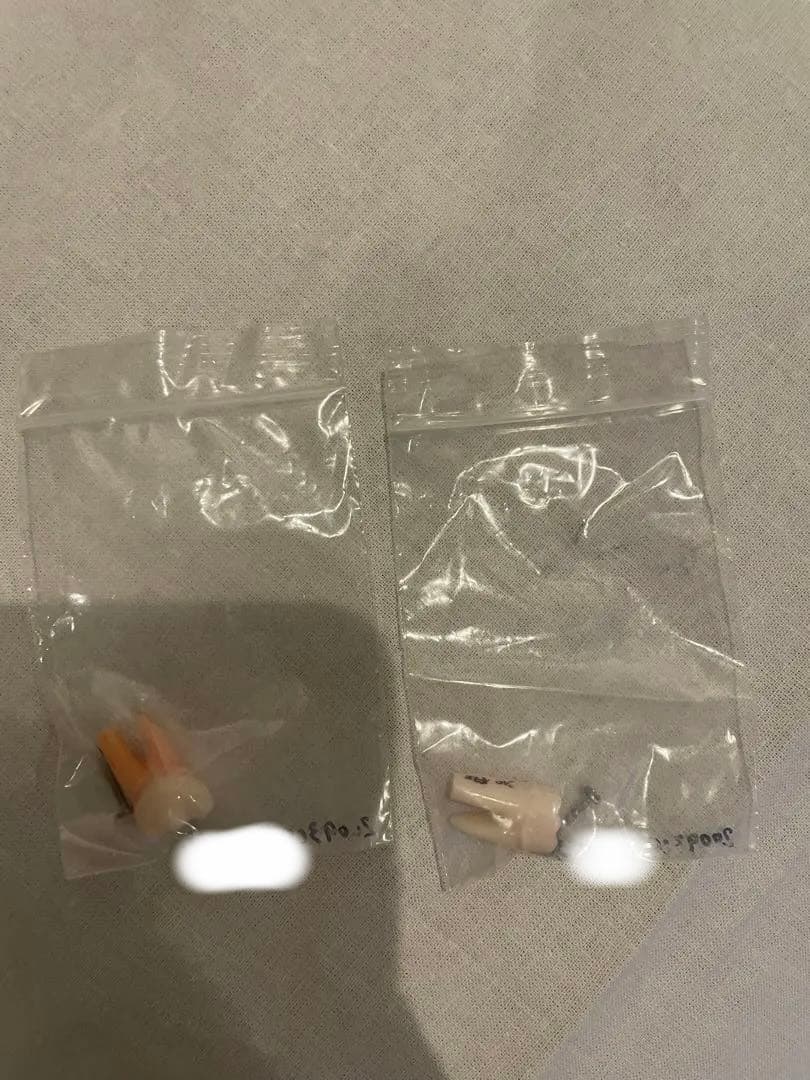 ニッシン　歯科模型　歯牙模型