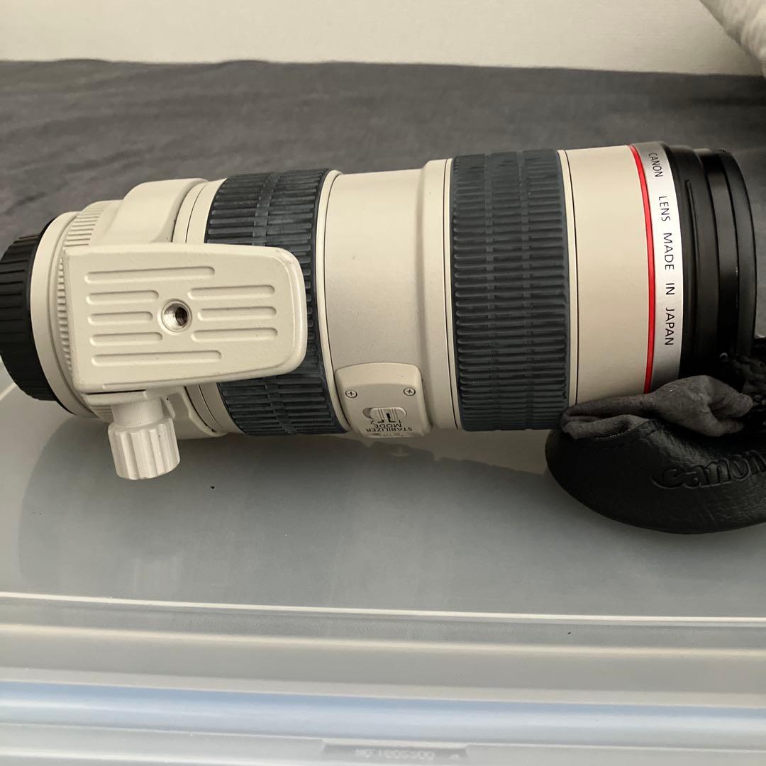 EF 70-200 f/2.8L IS USM +EF1.4 ✖️Ext Ⅲ