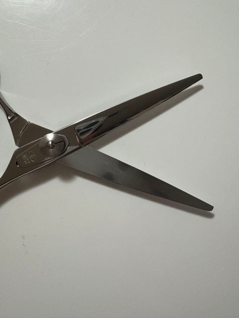 柳生 YAGYU カットシザー R60 美容師、理容師 6.0インチ 右利き