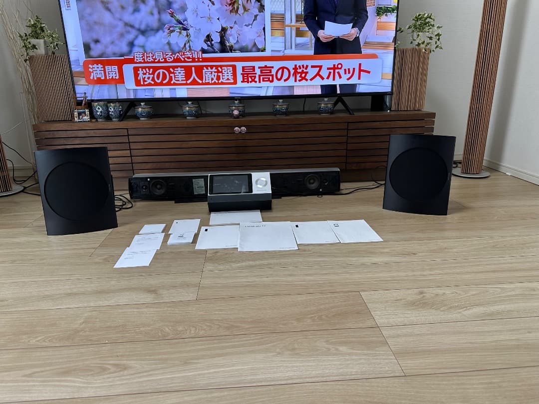 スピーカー・ウーファー Bang & Olufsen 17