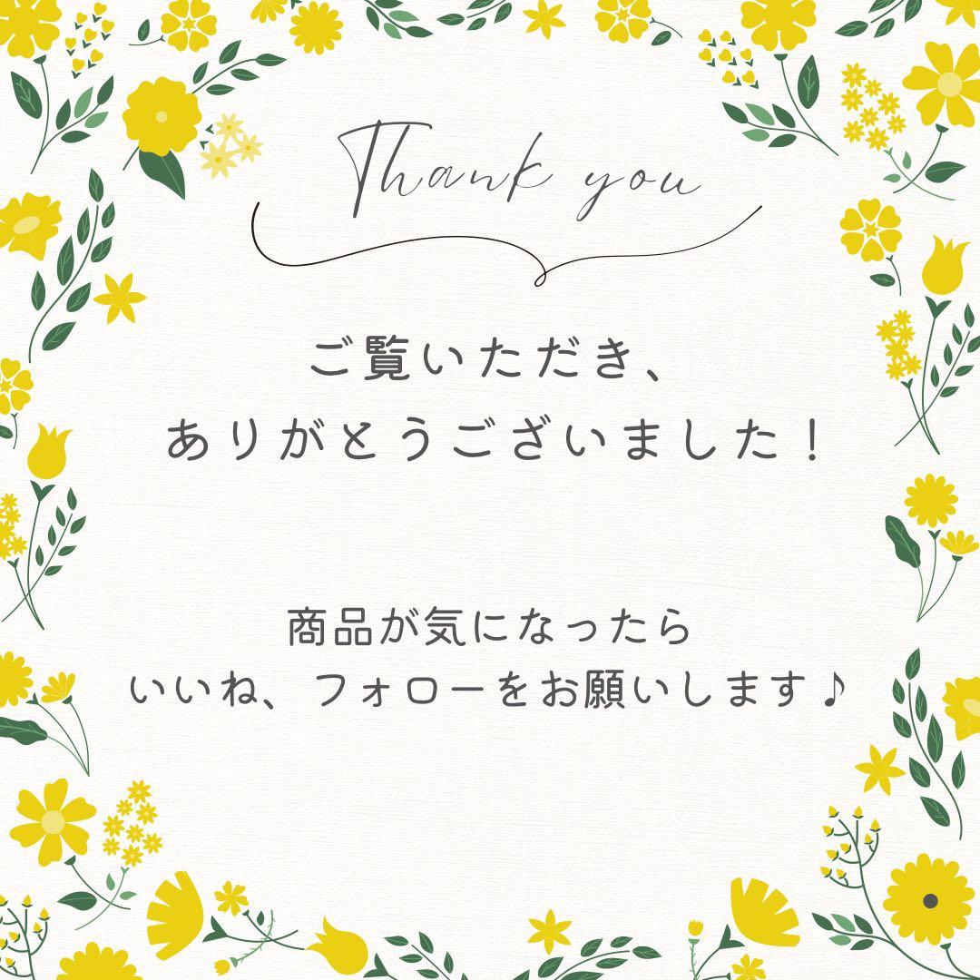 【最終価格】ルイヴィトン ポシェット フロランティーヌ ウエストバッグ