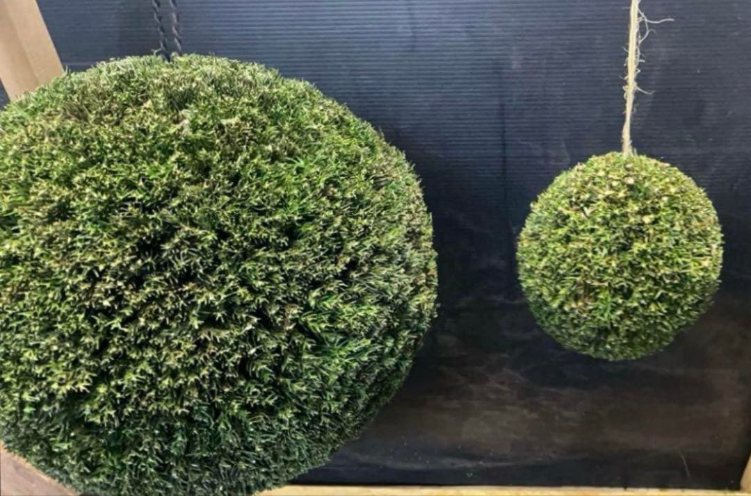 杉玉　約20センチ‼️屋根付き　お客様ご注文品♪