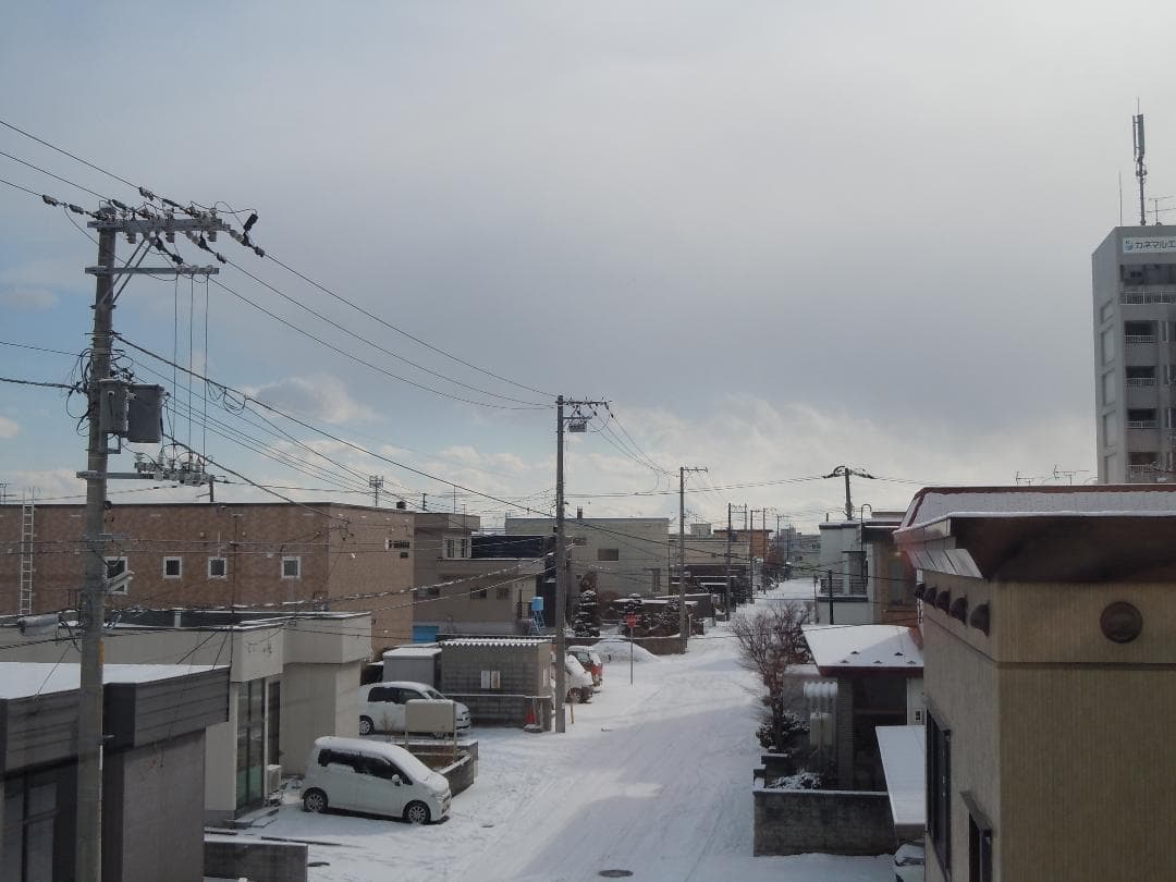 Nikon COOLPIX S6000 レッド　コンパクトデジタルカメラ