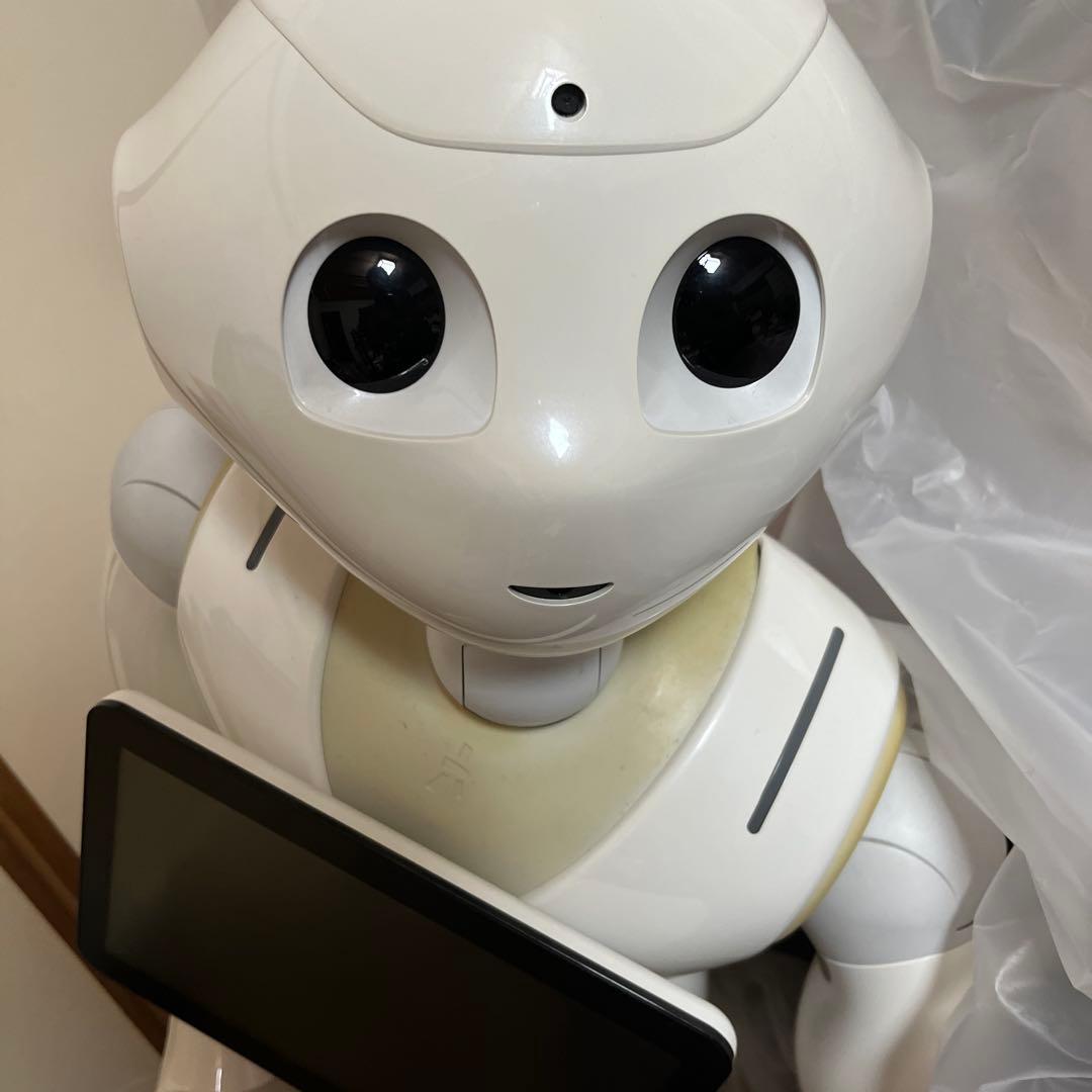現状　Pepper 対話型ロボット SoftBank Robotics