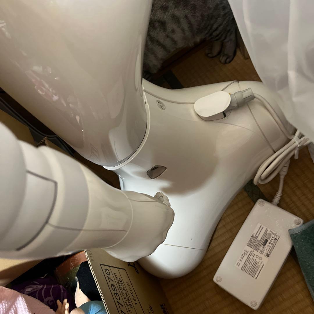 現状　Pepper 対話型ロボット SoftBank Robotics