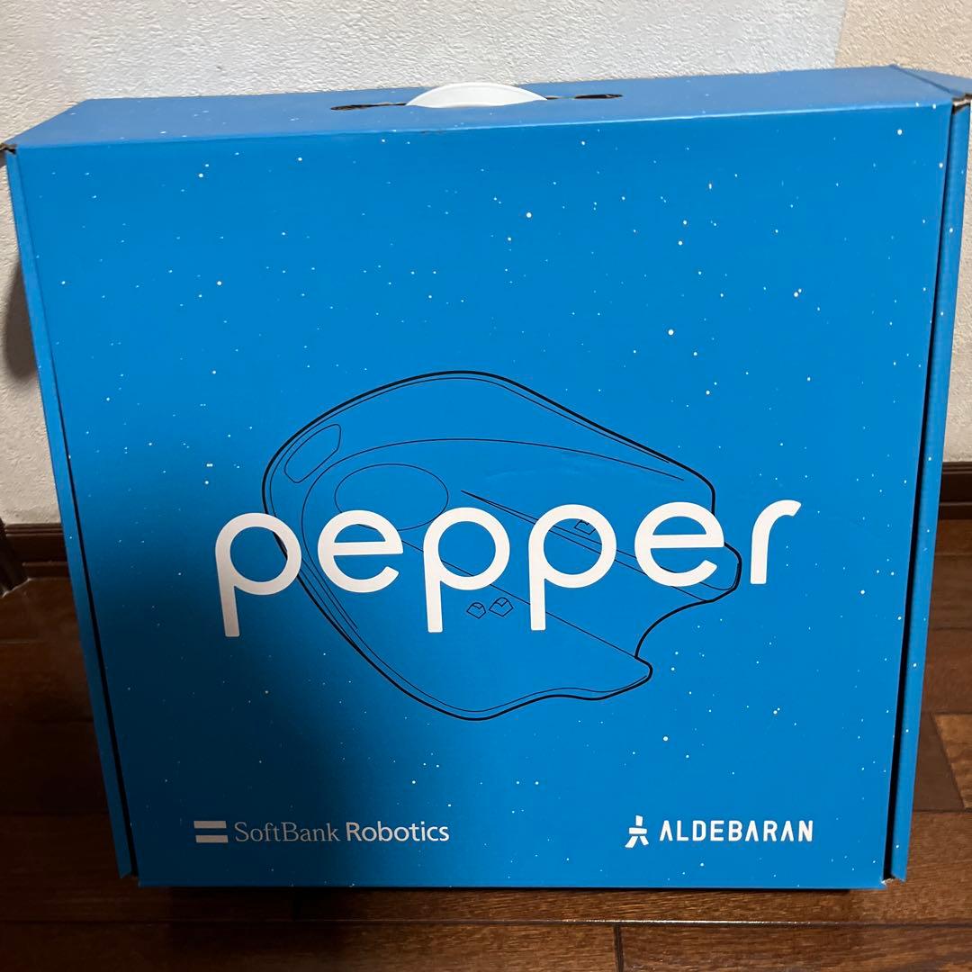 現状　Pepper 対話型ロボット SoftBank Robotics