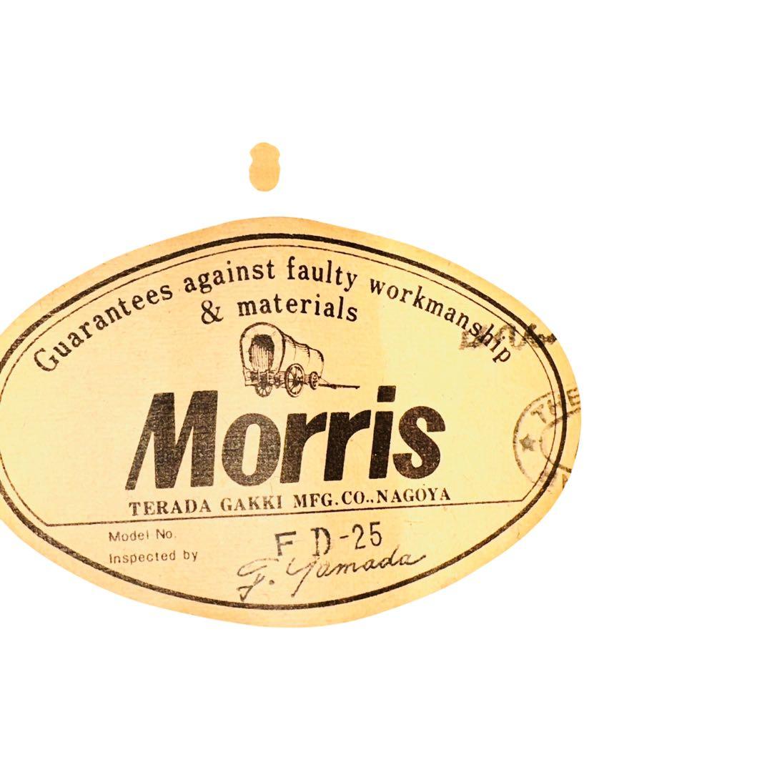 morris モーリス　FD-25 アコースティックギター