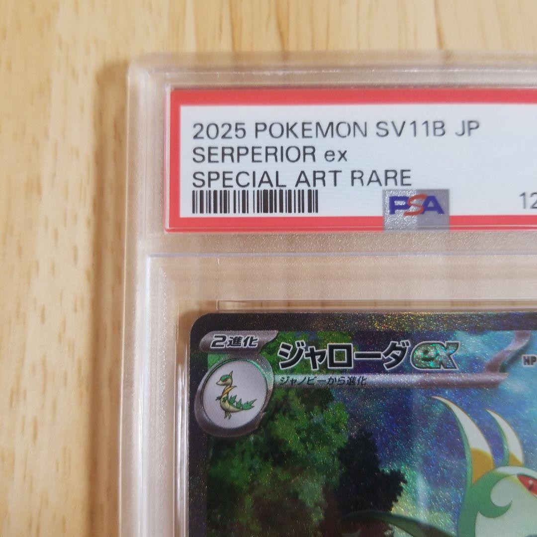 PSA10 ジャローダex SAR