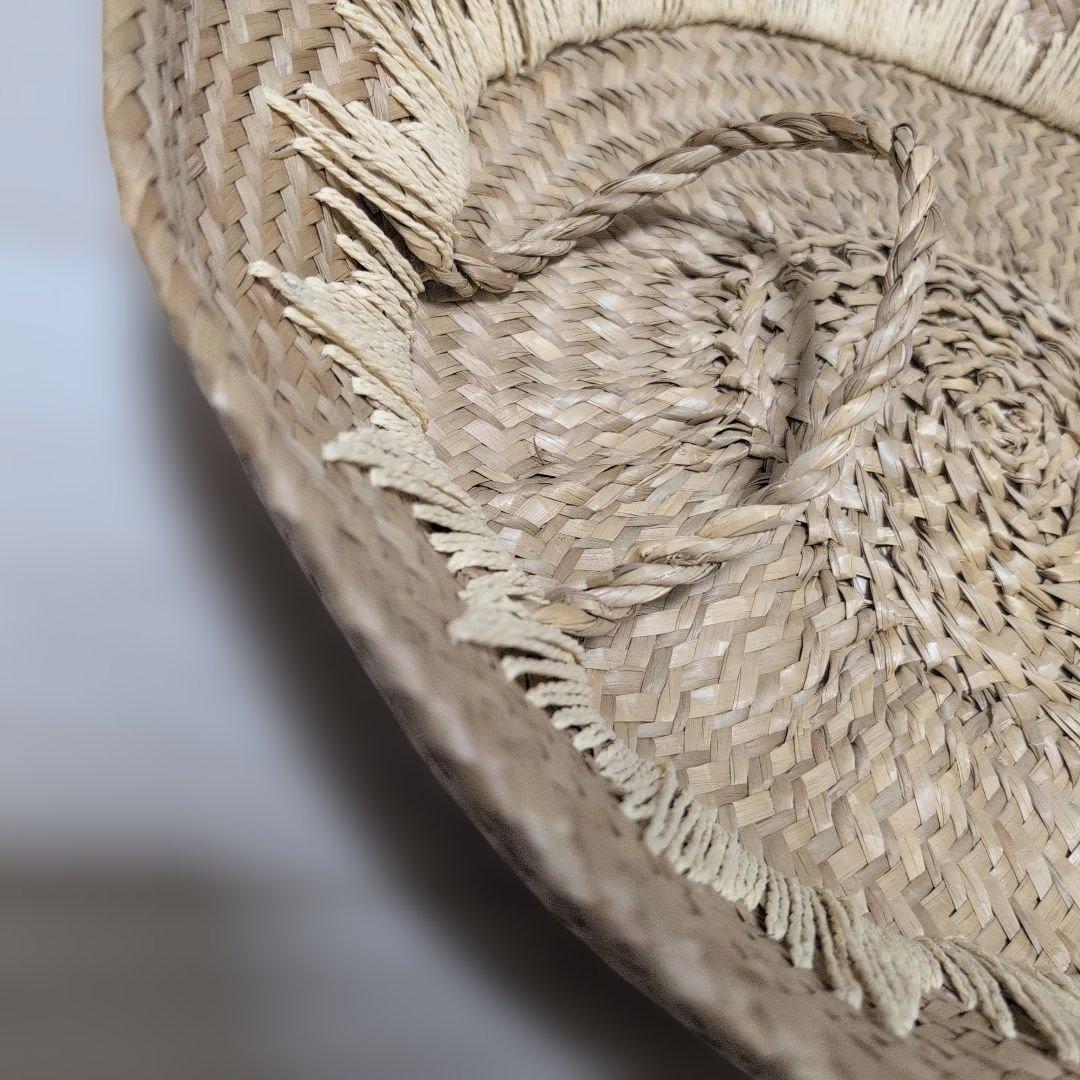 ミイミイ【shoppingcart】展覧会