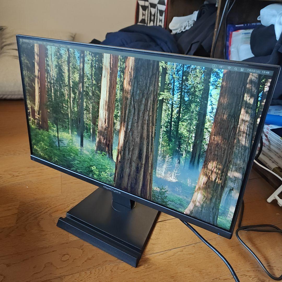 ディスプレイ・モニター本体 IO-DATA GigaCrysta EX-LDGC221HTB 144Hz