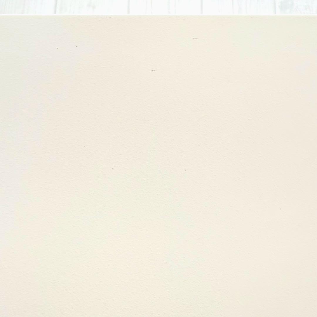 Biotron PRO 美顔器　バイオトロンプロ　カテオン電子　フェイス　ボディ