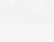 チャイさん専用