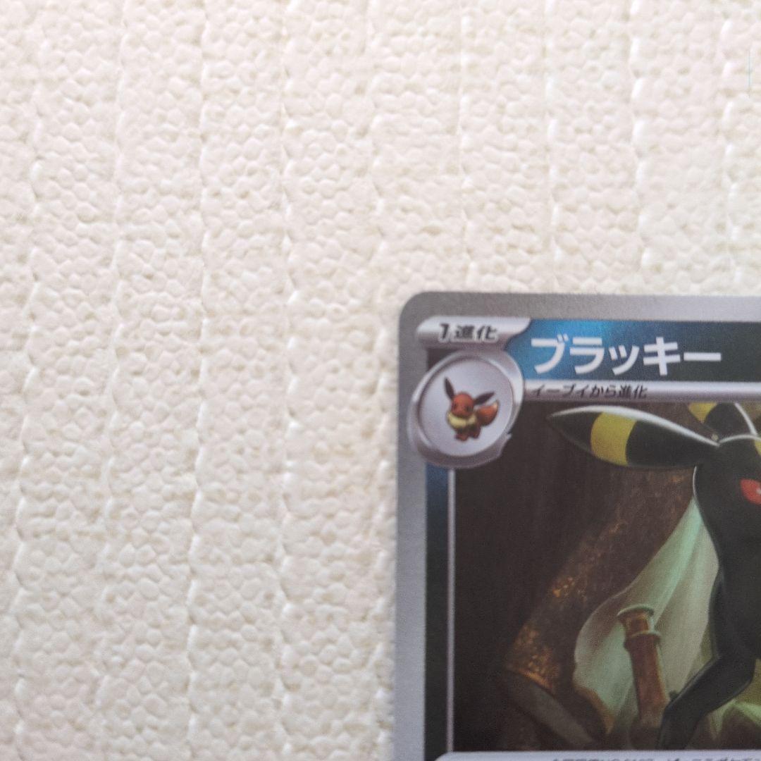 ブラッキー　マスターボールミラー