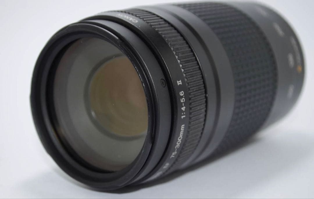 デジタル一眼レフカメラCanon EF 75-300㎜F4-5.6 Ⅱ望遠レンズ