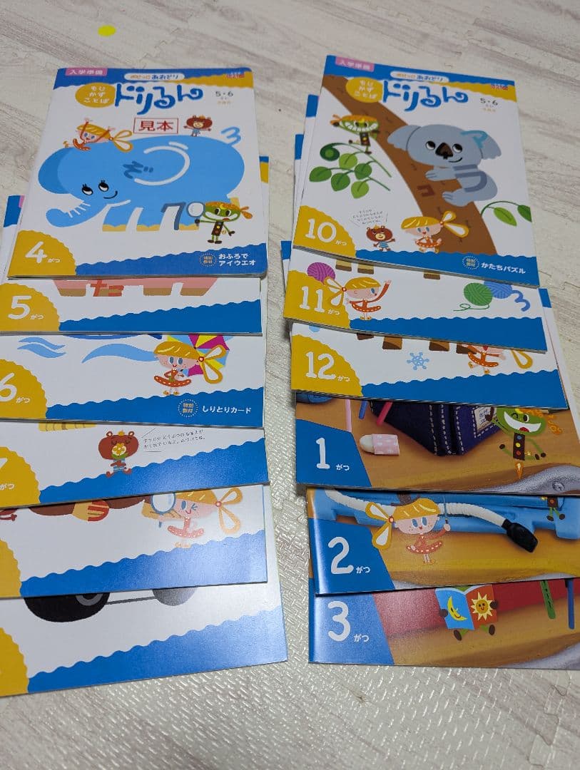 ポピー　あおどり　1年分