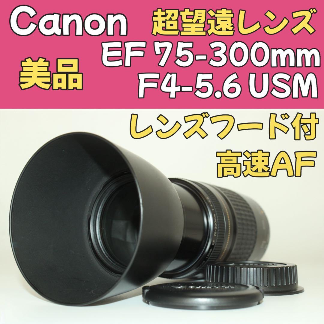 Canon EF 75-300mm F4-5.6 USM✨超望遠✨