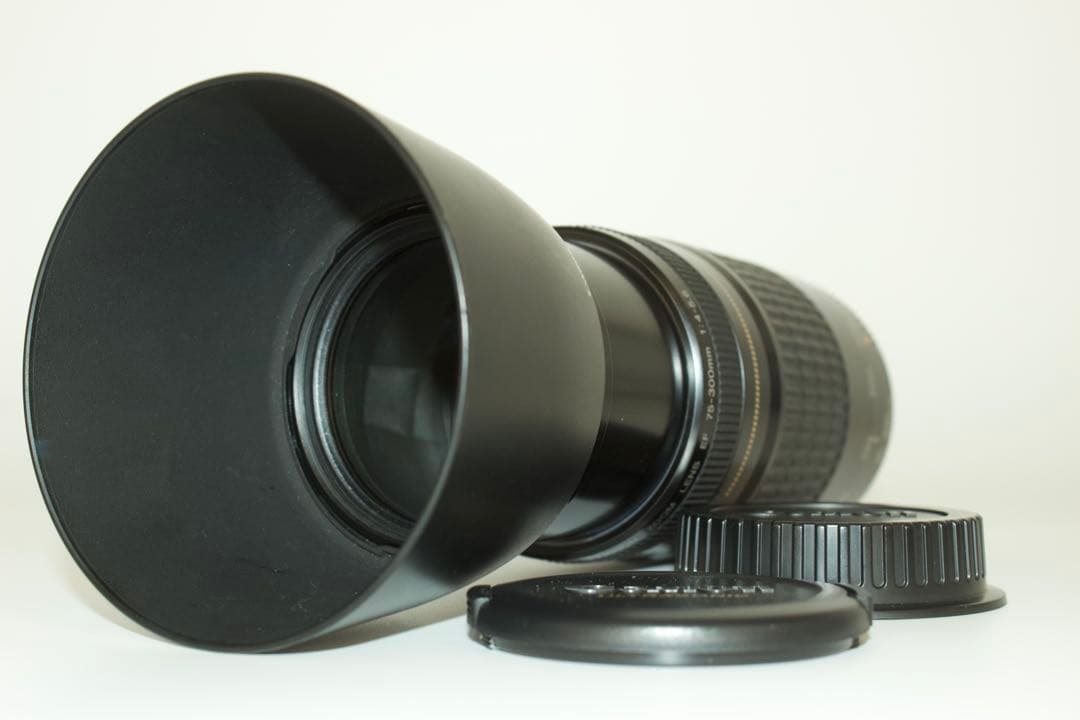 Canon EF 75-300mm F4-5.6 USM✨超望遠✨