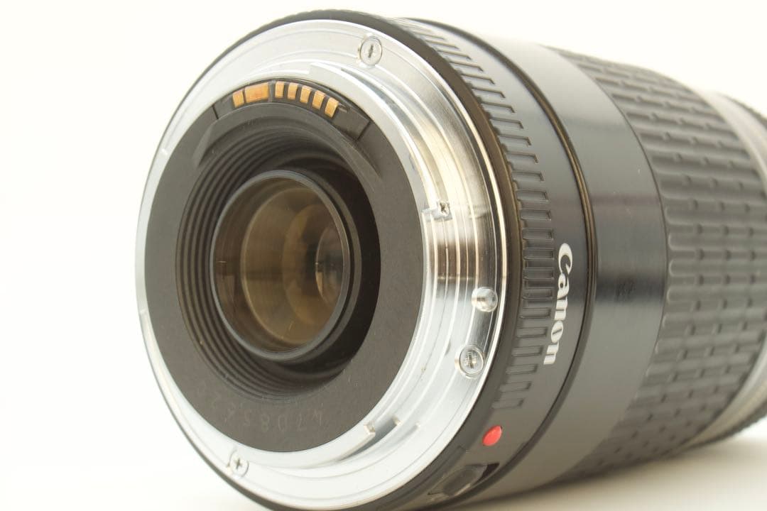 Canon EF 75-300mm F4-5.6 USM✨超望遠✨