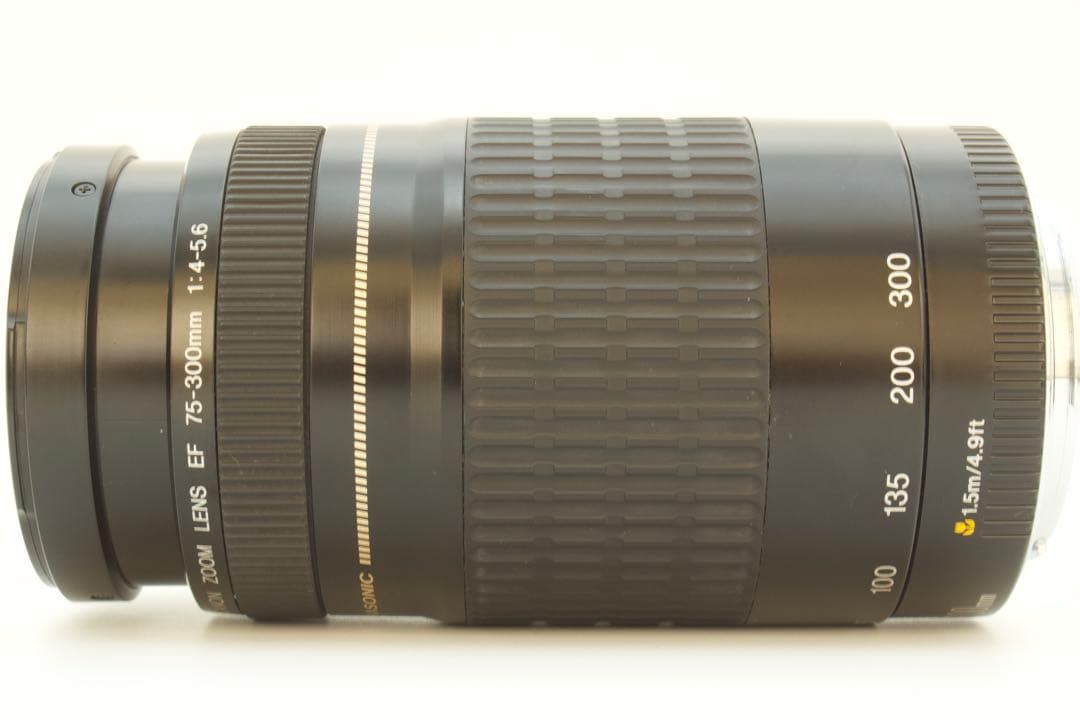 Canon EF 75-300mm F4-5.6 USM✨超望遠✨