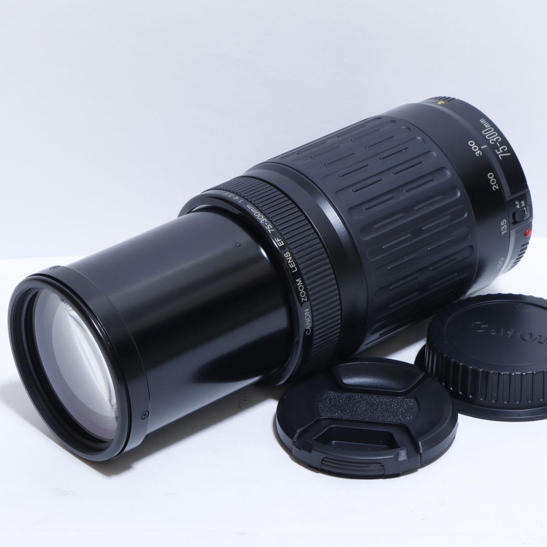 ◇大迫力超望遠!!◇Canon純正 300mm 望遠レンズ!!◇