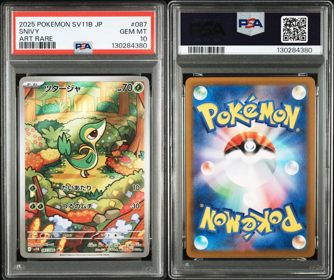 PSA10 ３連番 御三家 ツタージャ ポカブ ミジュマル AR ブラホワ