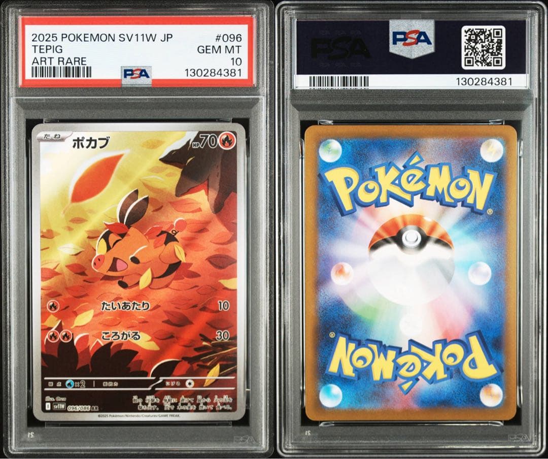 PSA10 ３連番 御三家 ツタージャ ポカブ ミジュマル AR ブラホワ