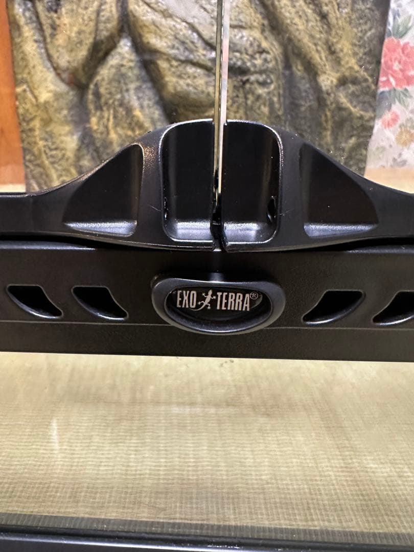 爬虫類ゲージ GEX グラステラリウム45×45×30