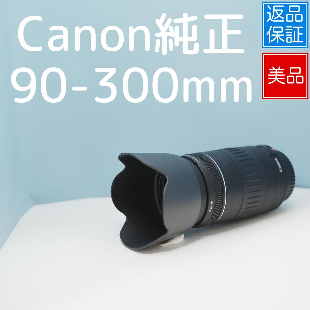 Canon純正90-300mm 望遠レンズ 美品 a4562