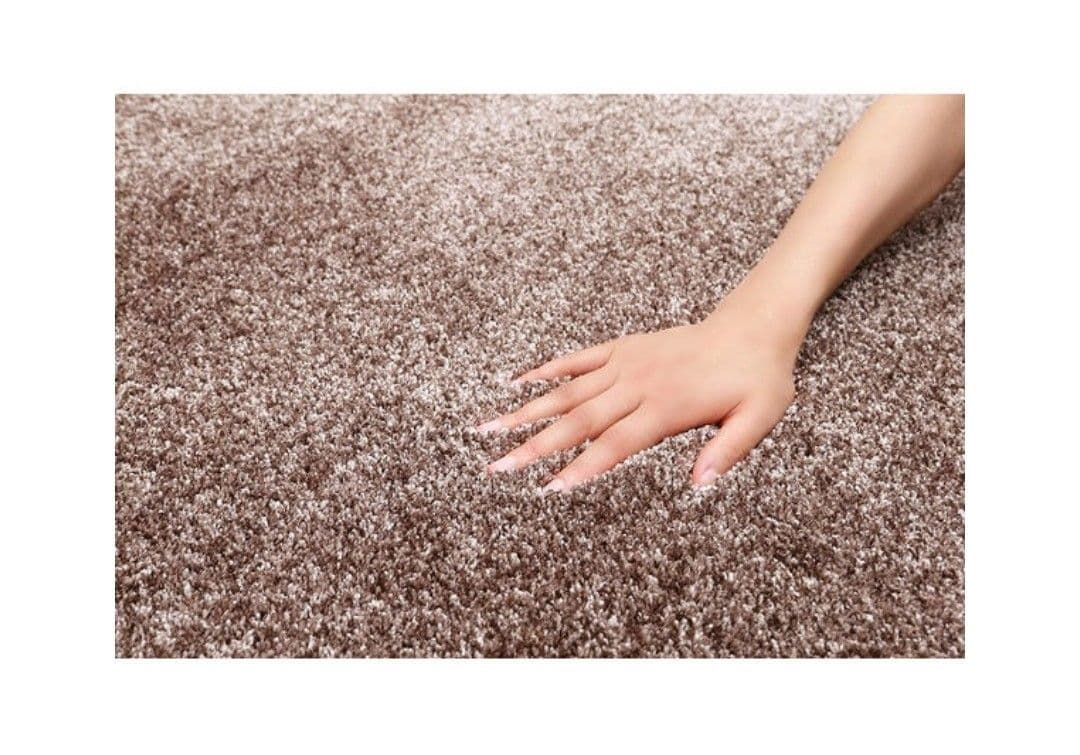 展示品 高級品 プレーベル ジェイド 190×240 ワイン ラグ カーペット