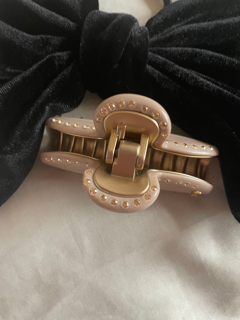 【完売⭐️美品】アレクサンドル ドゥ パリ ヘアクリップ ヴァンドーム M