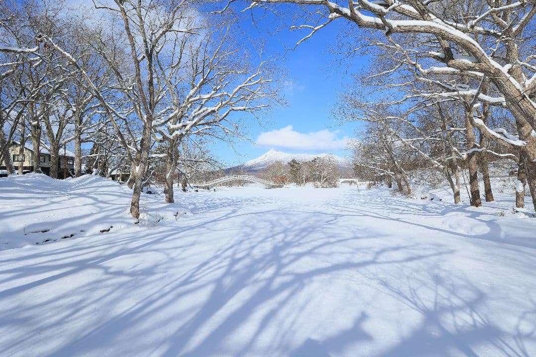 CANON EF 20mm F2.8 USM 【難あり】