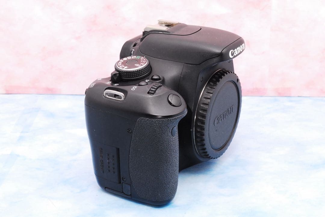 キャノン Kiss X5☆一眼レフカメラ☆カメラデビュー☆ブレずに簡単撮影